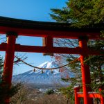 【2022年最新版】神社について知っておくと役立つ基礎知識